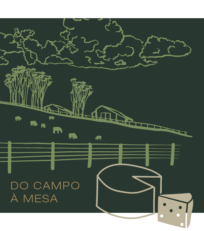 curso 8 quadrado